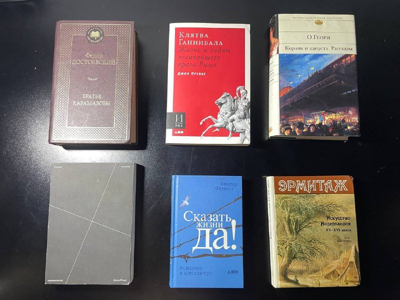 Книги: Братья Карамазовы, Клятва Ганнибала, Короли и капуста, Сердце искателя приключений, Скажи жизни да, Искусство Нидерландов