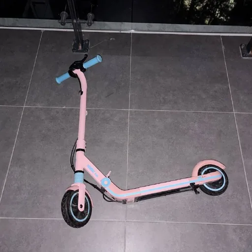 Детский электрический самокат Ninebot Kids ZING E8