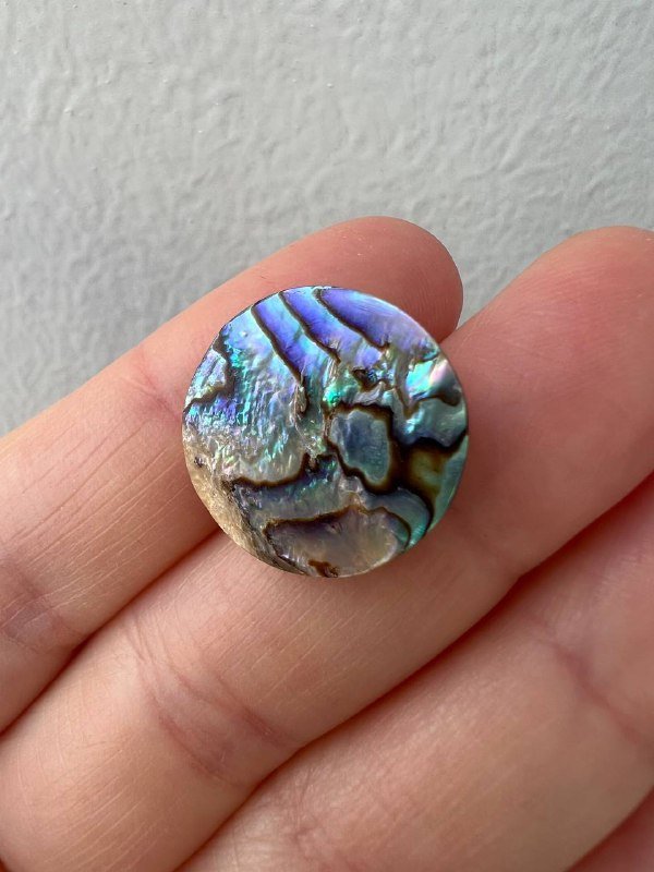 Набор украшений из ракушки сережки и кулон 3