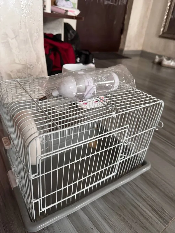 Клетка для хомяка