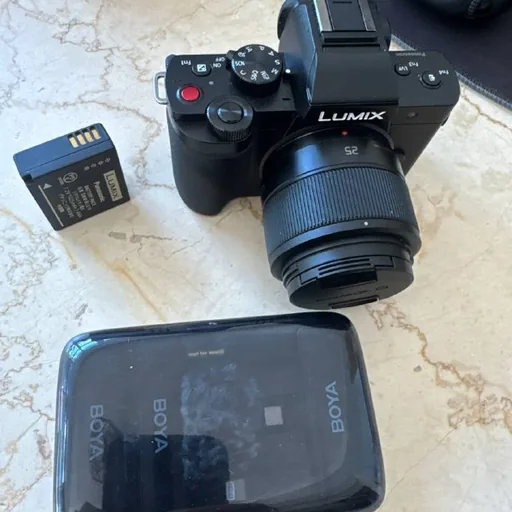 Камера Lumix G100G, микрофоны