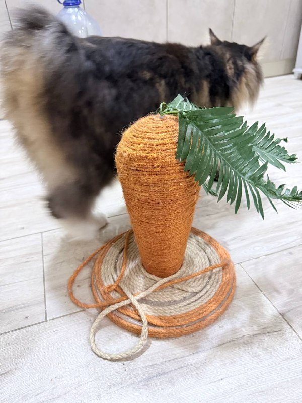 Домик для котов, когтедралка-морковка, мини-игрушка для кошек 5