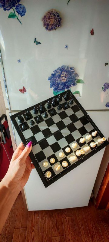 Магнитные шахматы 1