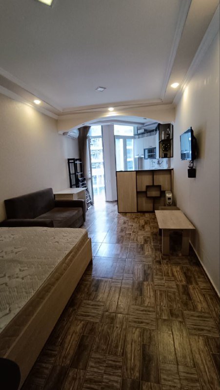 Квартира студия, аренда Горгиладзе 98