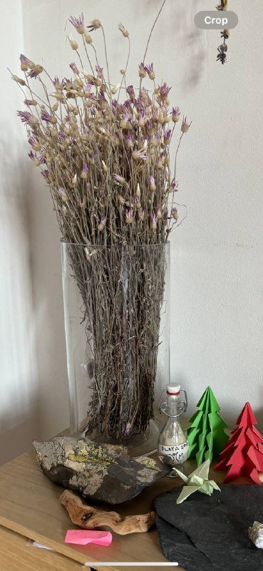 Самокат Oxelo Town 7, сумка Calvin Klein, рубашка Tommy Hilfiger, джинсы Roku, ваза JYSK 7