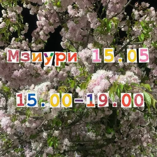 Прогулка для детей в Мзиури