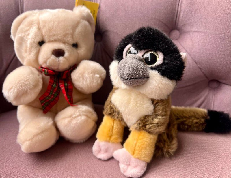 плюшевые игрушки мишка и мартышка