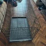Клетка 4