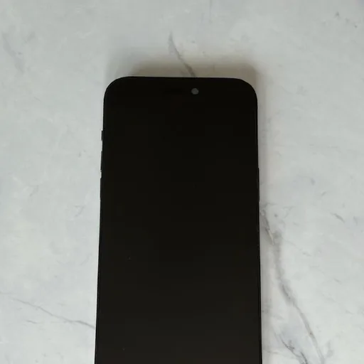iPhone 14 Pro Max 256 GB