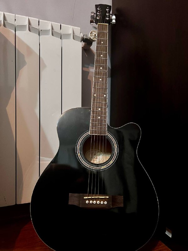Акустическая гитара FINKS FK-310
