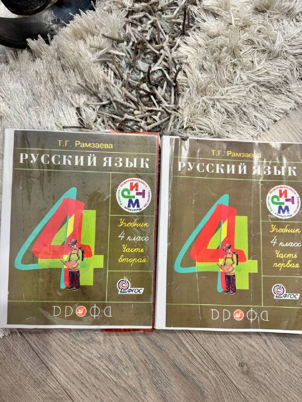Учебники Русский язык 4 класс Рамзаева часть первая и вторая