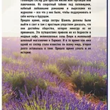 Книга «Сестры Шанель» 2
