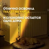 Гермиона, щенок 5
