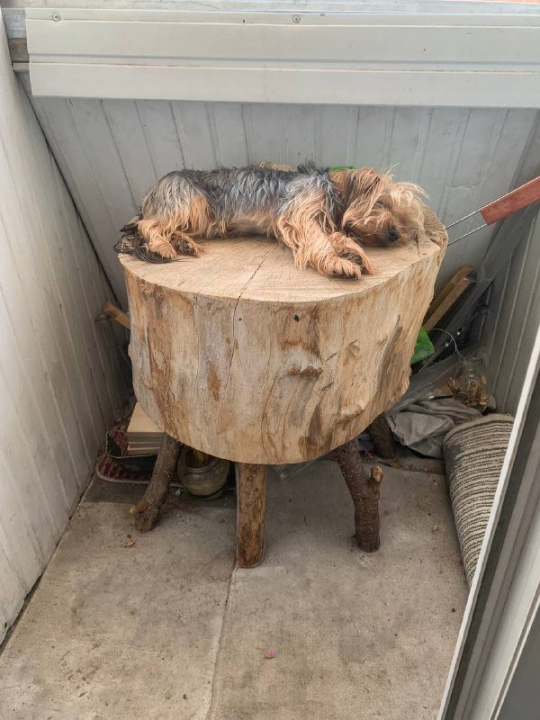 Деревянный стол 2