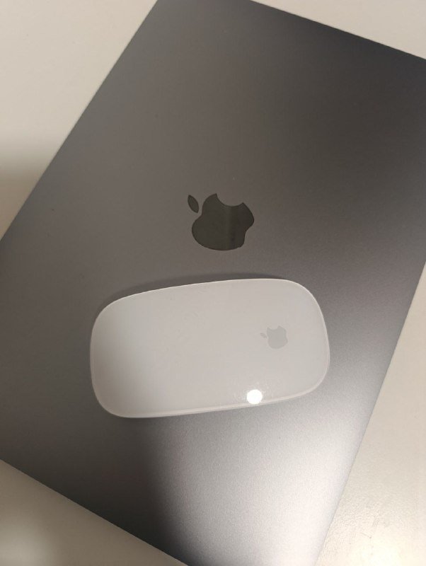 беспроводная мышь APPLE Magic Mouse белого цвета