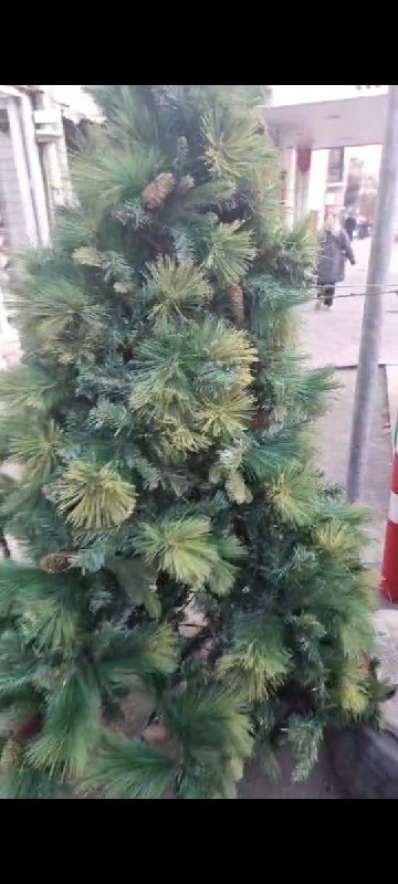 Белая елка 2,70 м, Зеленая елка 1,80 м и 2,10 м 2