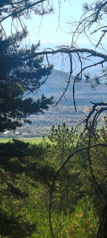 Ежедневные поездки за грибами мини группа Тбилиси 3