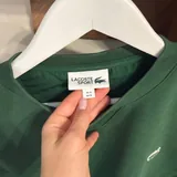 Мужские свитшоты Lacoste 4