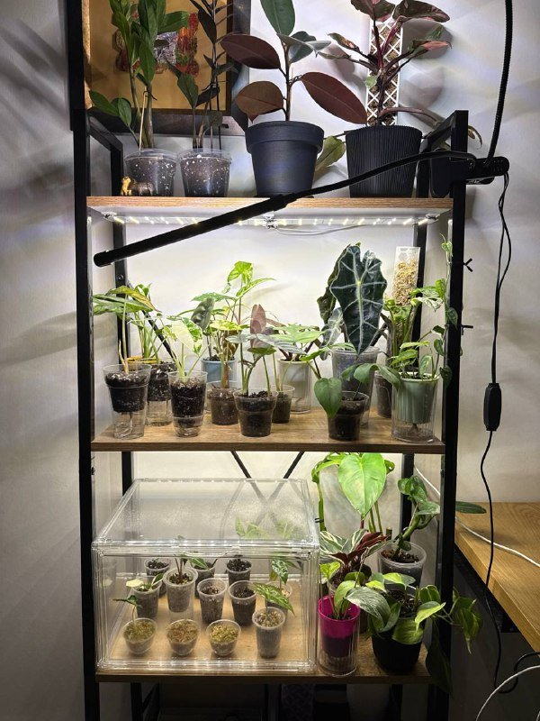 Стеллаж с лампами для растений
