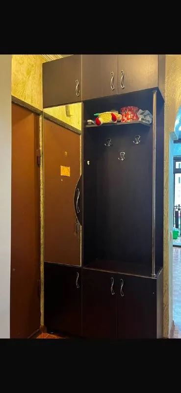 Шкаф в прихожей 1