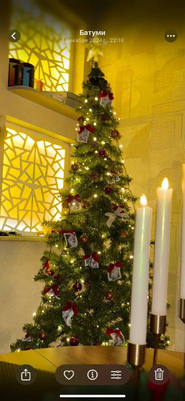 Передние решетки радиатора для BMW 4 series 3