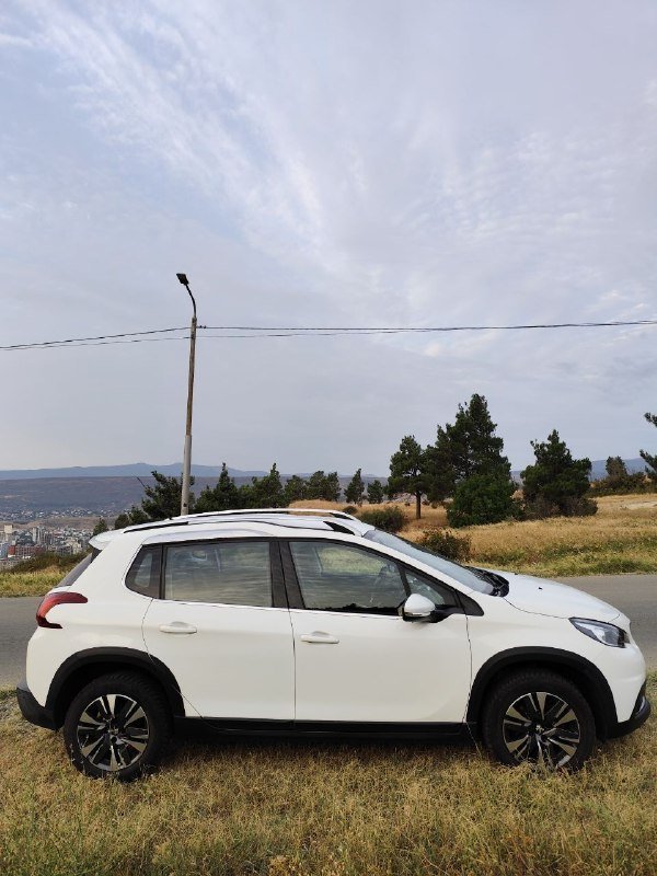 Peugeot 2008 2017 8