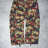 Swiss Army Alpenflage pants 1