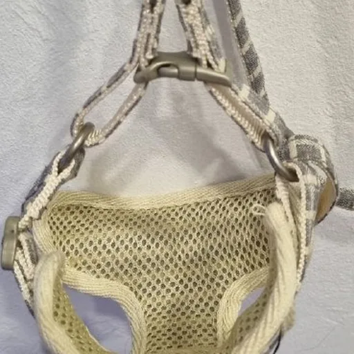 Puppy harness with leash