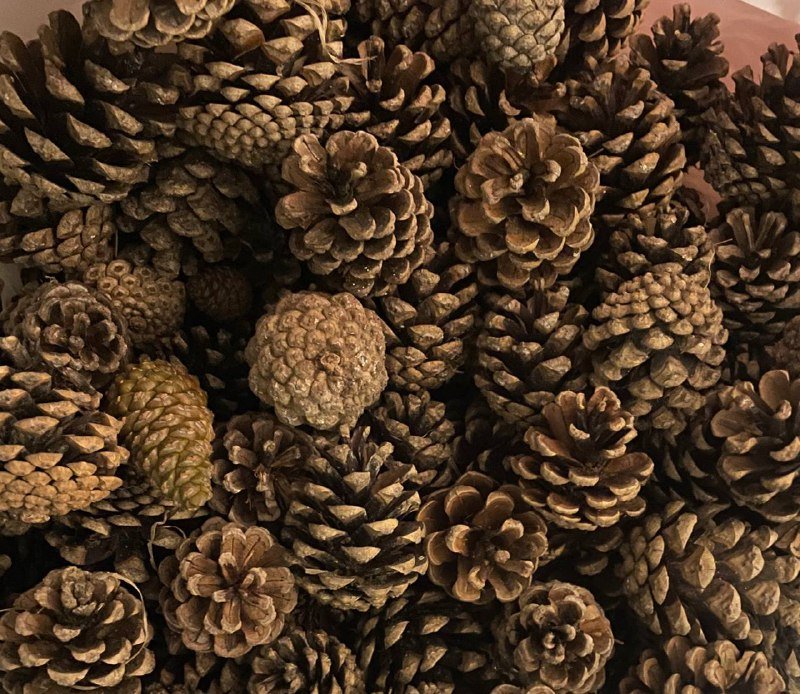 Шишки для поделок 30 шт