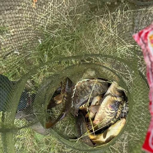 Рыбалка в новом месте