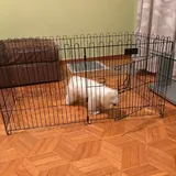 Клетка для собак 2