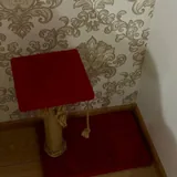 Кошачья когтеточка 2