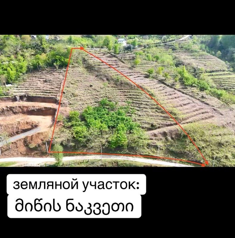 земельный участок в Тхилнари 5000 кв.м. 6