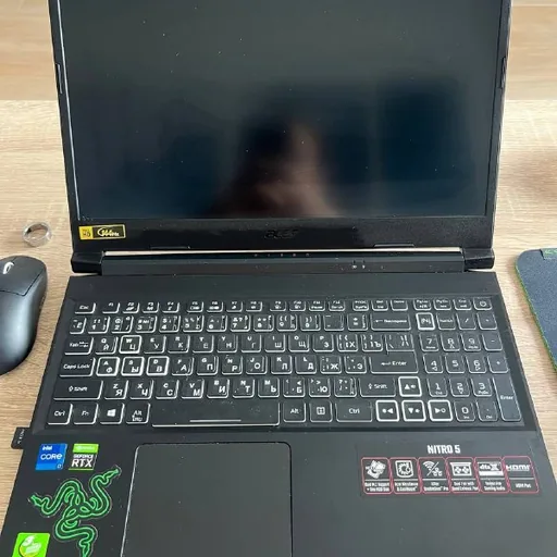 Acer Nitro 5