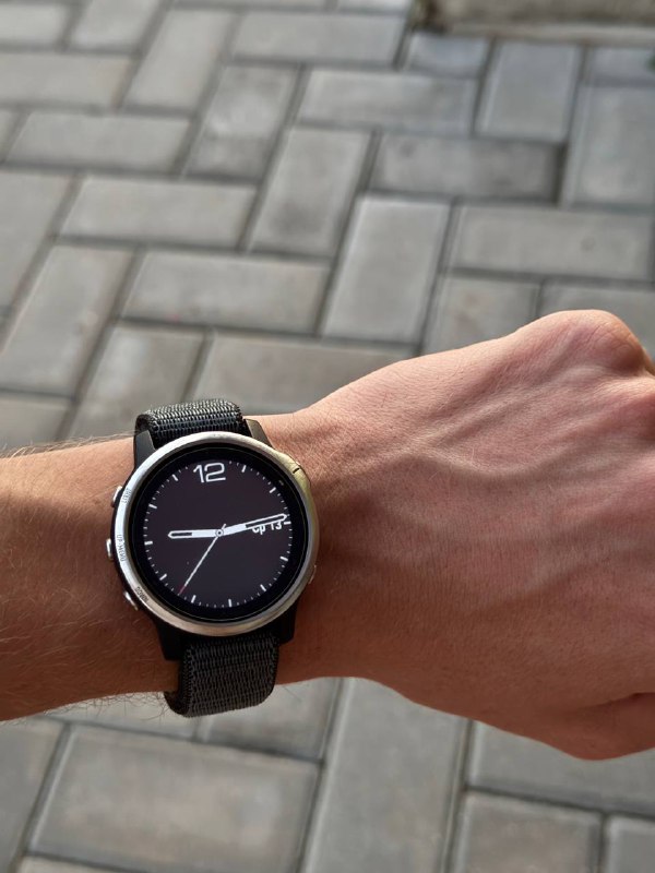 Garmin Fenix 6s 42mm 2