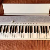 Электронное пианино Casio Casiotone 1