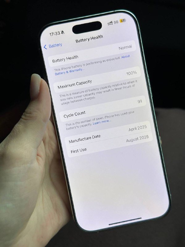 iPhone 16Pro 512Gb 6