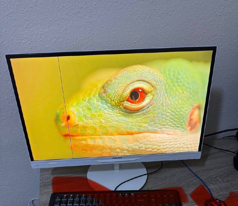 Монитор Philips Full HD, JBL Tune520BT, новые проводные динамики, Hyperx наушник 4