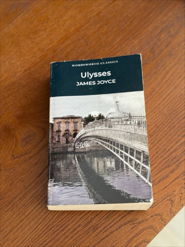 Книги Фредерик Бакман, The Godfather, Gone with the wind, Eichmann in Jerusalem, Little women, Ulysses, English Grammar in Use 6