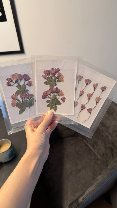 Дырокол, краска для штампа, цифры, высушенные цветы 6