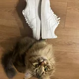 Nike Air Force 1 '07 white on white 3