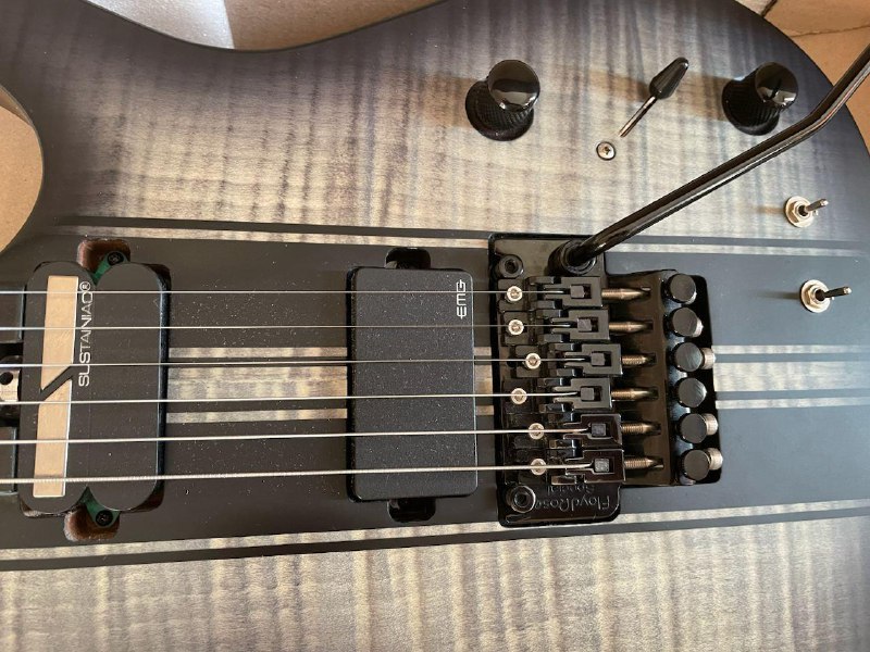 Электрогитара SCHECTER BANSHEE GT FR SCB 5