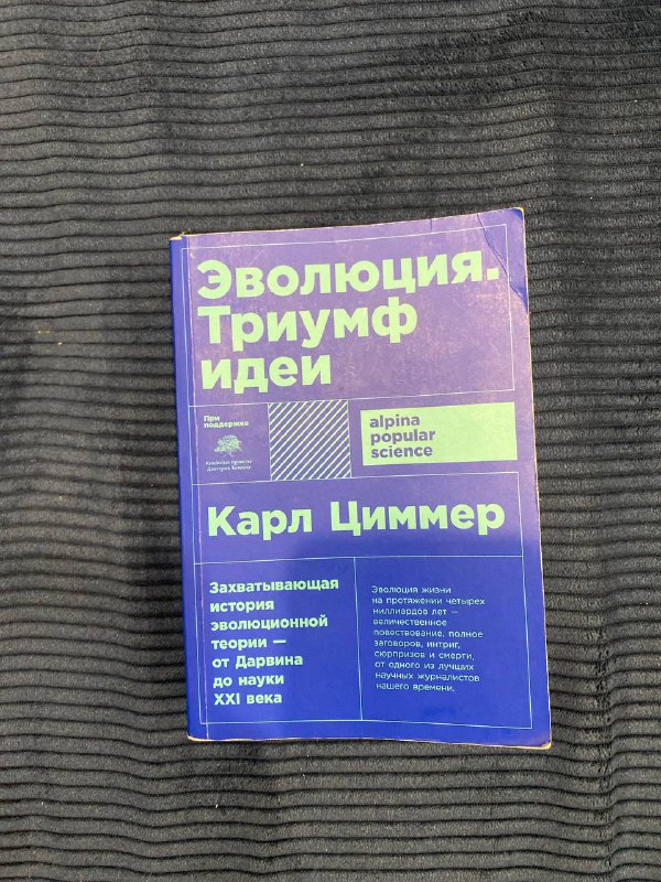 Эволюция. Триумф идеи, Подставка для телефона, Ваза ikea, Весы напольные, МФР ролл, Сковородка 26см с антипригарным покрытием, Кастрюля ikea 15см, Кастрюля ikea 20 см с крышкой, Форма для выпечки