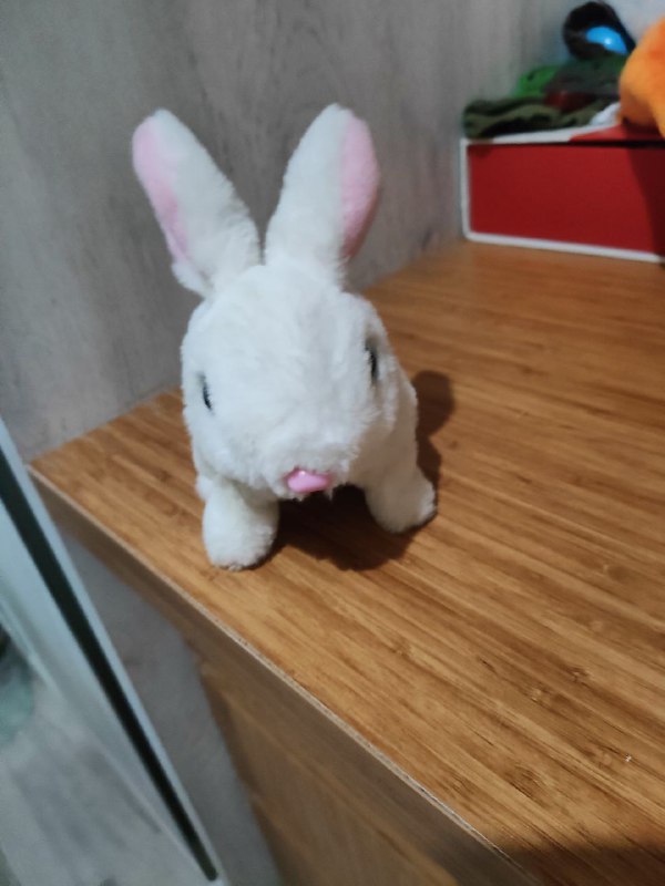 Plush toys, Knuckles doll, dog plush, bunny plush 6