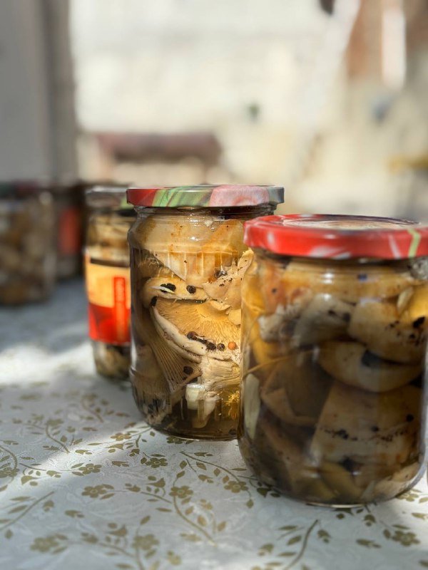 Маринованные грибы грузди, маслята в баночках 0,5 кг