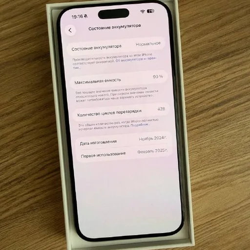 iPhone 16 Pro Max 256 ГБ