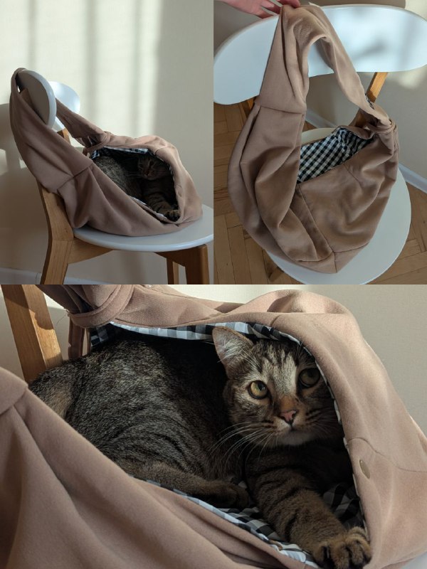 Шлейка, чесалка, лоток, лопатка, сумка, воротник для котов 7