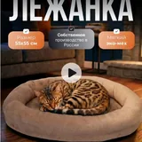 Интерактивные игрушки для кошек и собак, лежанка, когтеточка 3