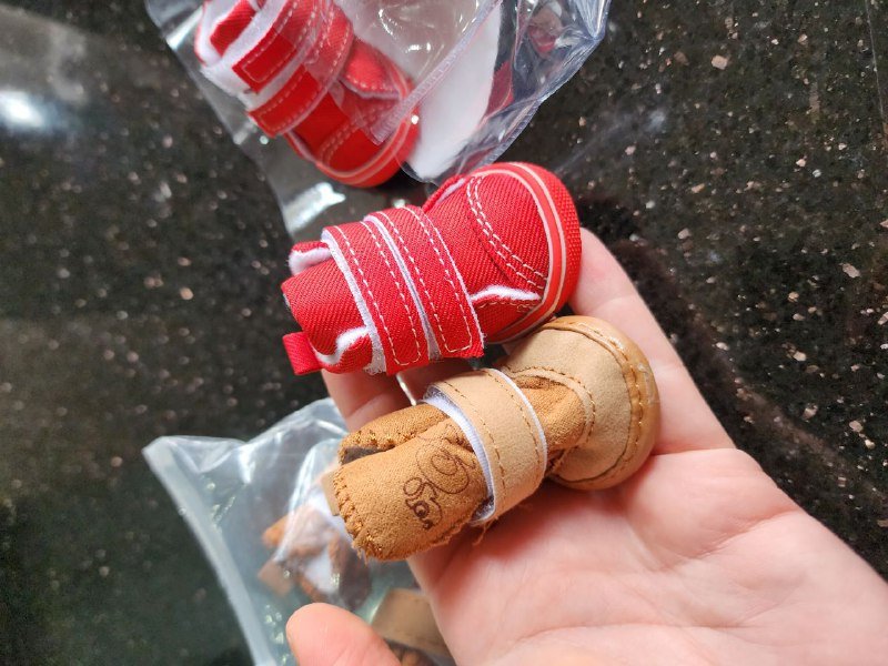 Туфли для кошек