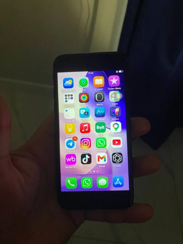 iPhone SE 1